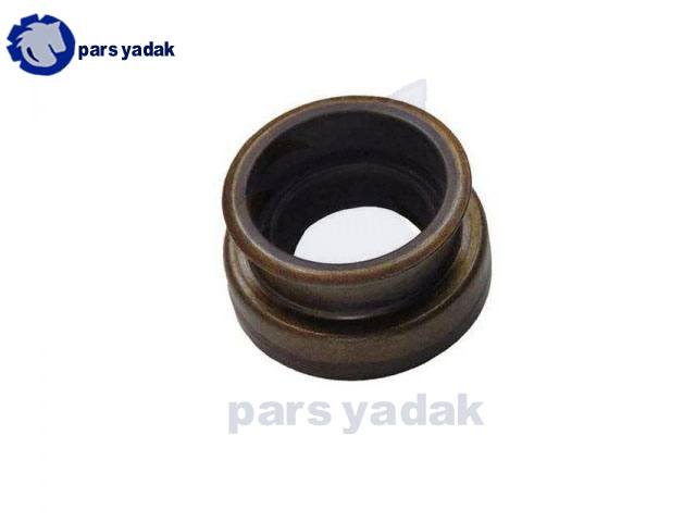 کاسه نمد ماهک تعویض دنده پراید ویژن