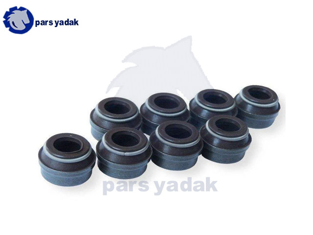 لاستیک ساق سوپاپ پرایدیورو4 ویژن