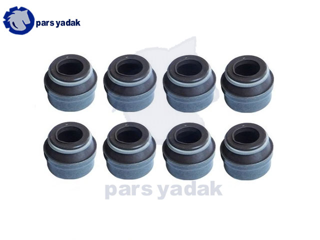 لاستیک ساق سوپاپ پژو206 تیپ5 ویژن
